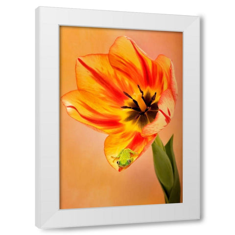 Hanging On VI White Modern Wood Framed Art Print by PHBurchett