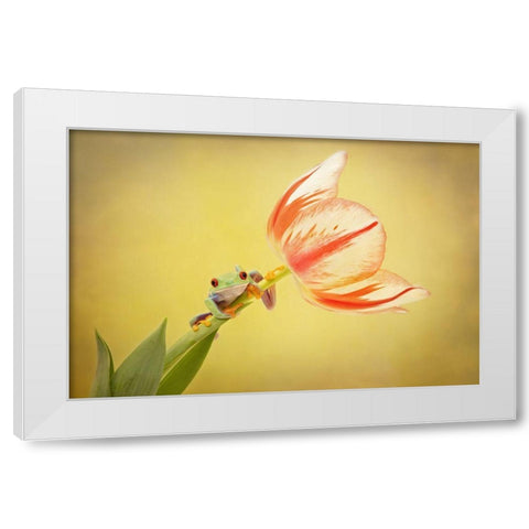 Hanging On VII White Modern Wood Framed Art Print by PHBurchett