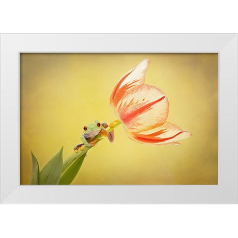 Hanging On VII White Modern Wood Framed Art Print by PHBurchett