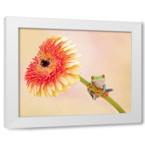 Hanging On IX White Modern Wood Framed Art Print by PHBurchett