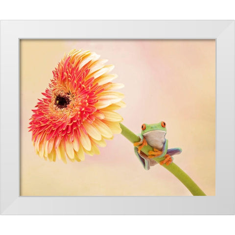 Hanging On IX White Modern Wood Framed Art Print by PHBurchett