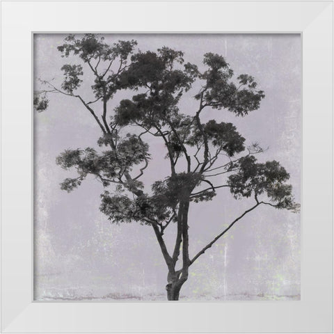 Adajio III White Modern Wood Framed Art Print by Aryai, Sia