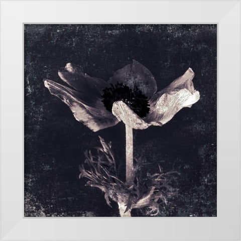 Aurora Blooms I White Modern Wood Framed Art Print by Aryai, Sia