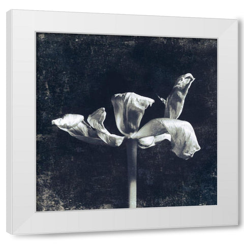 Aurora Blooms II White Modern Wood Framed Art Print by Aryai, Sia