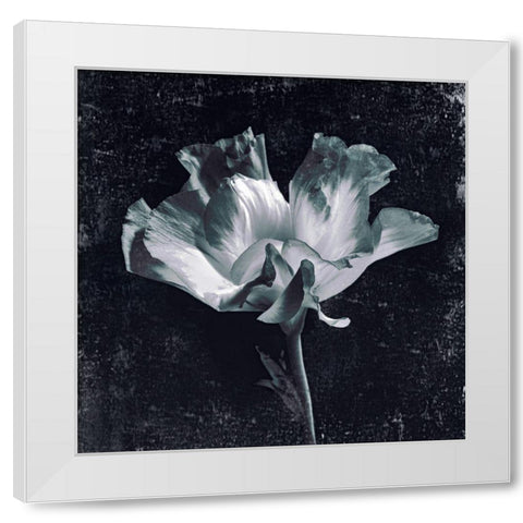 Aurora Blooms III White Modern Wood Framed Art Print by Aryai, Sia