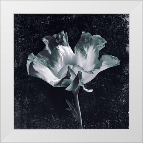 Aurora Blooms III White Modern Wood Framed Art Print by Aryai, Sia