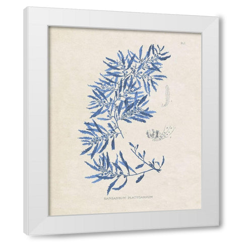 Blue Marine Algae III White Modern Wood Framed Art Print by Vision Studio