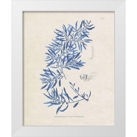 Blue Marine Algae III White Modern Wood Framed Art Print by Vision Studio