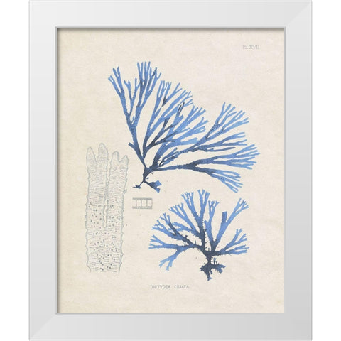 Blue Marine Algae V White Modern Wood Framed Art Print by Vision Studio
