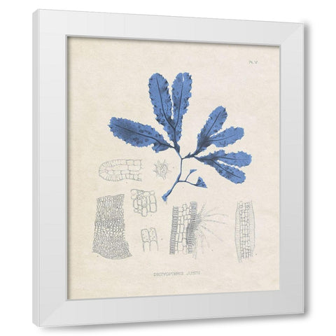 Blue Marine Algae VII White Modern Wood Framed Art Print by Vision Studio
