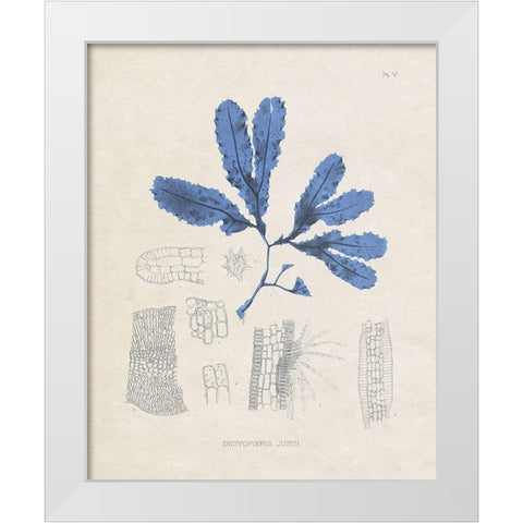 Blue Marine Algae VII White Modern Wood Framed Art Print by Vision Studio