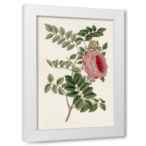 Pink Floral Mix I White Modern Wood Framed Art Print by Ridgeway