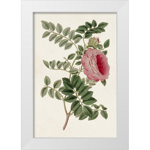 Pink Floral Mix I White Modern Wood Framed Art Print by Ridgeway