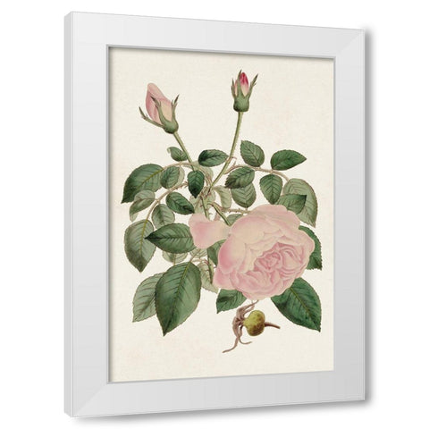 Pink Floral Mix II White Modern Wood Framed Art Print by Ridgeway