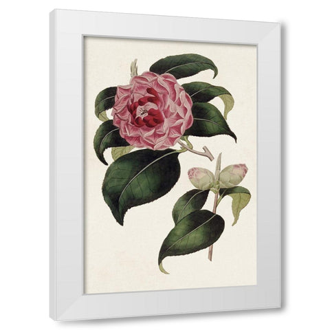 Pink Floral Mix III White Modern Wood Framed Art Print by Ridgeway