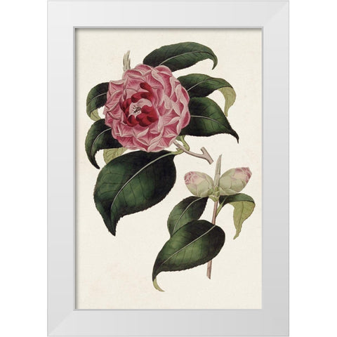 Pink Floral Mix III White Modern Wood Framed Art Print by Ridgeway