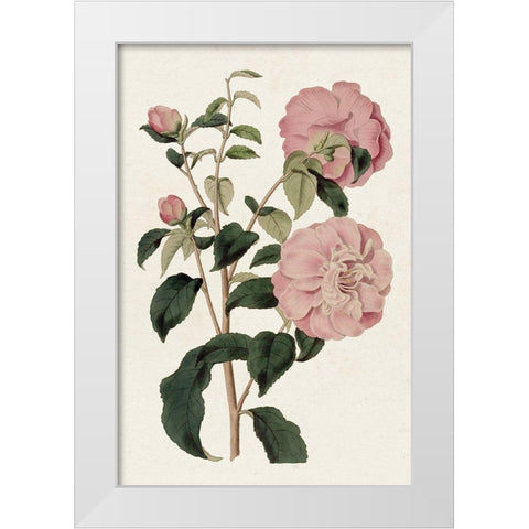 Pink Floral Mix IV White Modern Wood Framed Art Print by Ridgeway
