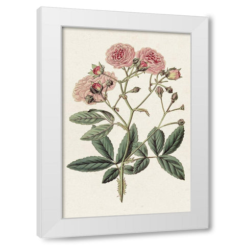 Pink Floral Mix V White Modern Wood Framed Art Print by Ridgeway