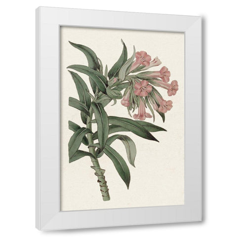Pink Floral Mix VI White Modern Wood Framed Art Print by Ridgeway