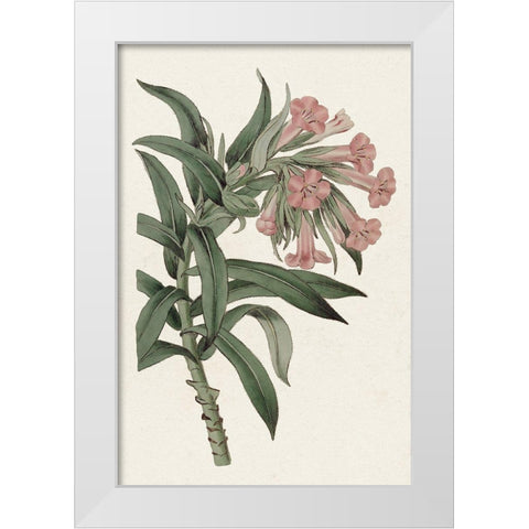 Pink Floral Mix VI White Modern Wood Framed Art Print by Ridgeway