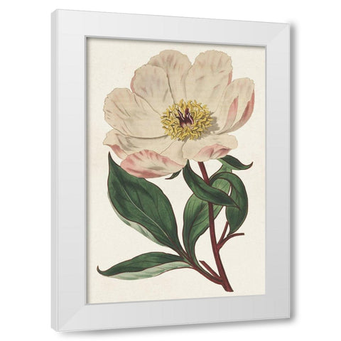 Pink Floral Mix VII White Modern Wood Framed Art Print by Ridgeway
