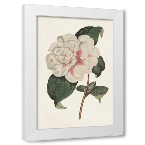 Pink Floral Mix VIII White Modern Wood Framed Art Print by Ridgeway