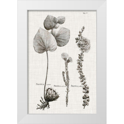 Black And White Protea on Linen II White Modern Wood Framed Art Print by Vision Studio