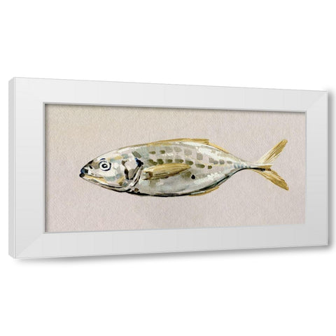 Fresh Fish Study II White Modern Wood Framed Art Print by Caroline, Emma