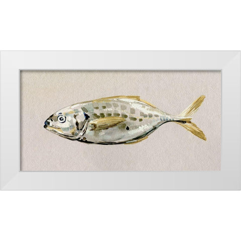 Fresh Fish Study II White Modern Wood Framed Art Print by Caroline, Emma