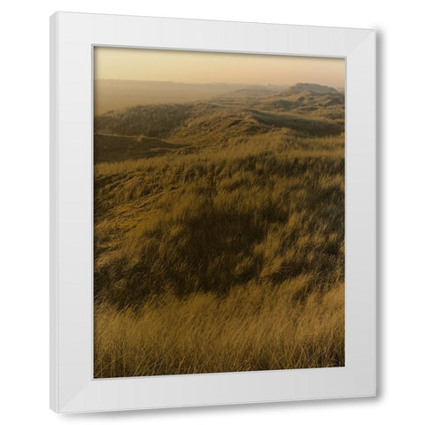 Golden Fog I White Modern Wood Framed Art Print by Green, Jacob