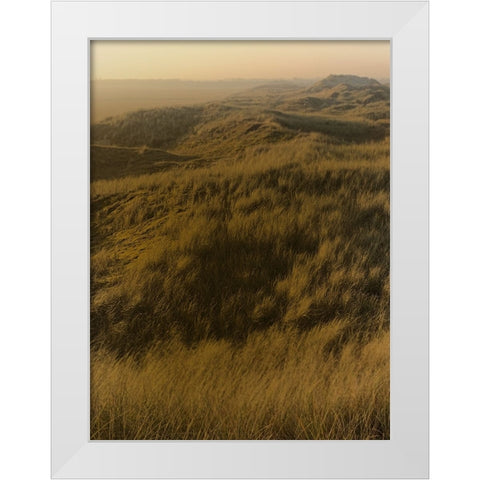 Golden Fog I White Modern Wood Framed Art Print by Green, Jacob