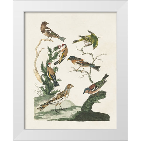 Antique Birds in Nature I White Modern Wood Framed Art Print by Vision Studio