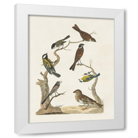 Antique Birds in Nature II White Modern Wood Framed Art Print by Vision Studio
