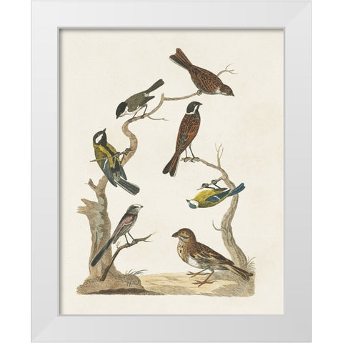 Antique Birds in Nature II White Modern Wood Framed Art Print by Vision Studio