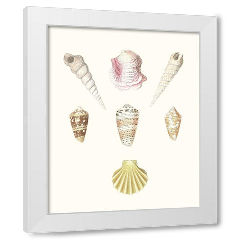 Pastel Knorr Shells I White Modern Wood Framed Art Print by Knorr, G.W.