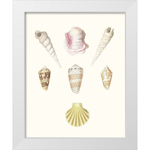 Pastel Knorr Shells I White Modern Wood Framed Art Print by Knorr, G.W.