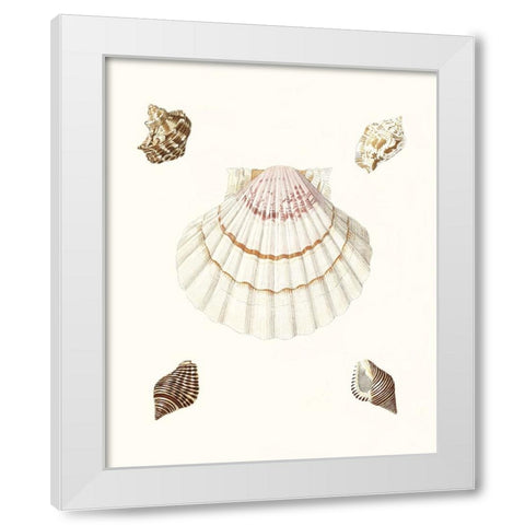 Pastel Knorr Shells IV White Modern Wood Framed Art Print by Knorr, G.W.