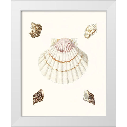 Pastel Knorr Shells IV White Modern Wood Framed Art Print by Knorr, G.W.