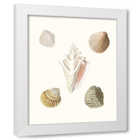 Pastel Knorr Shells IX White Modern Wood Framed Art Print by Knorr, G.W.