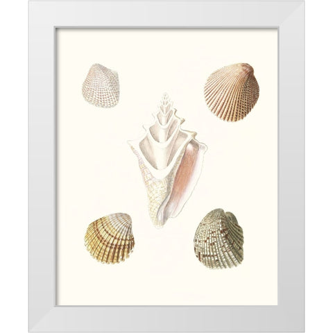 Pastel Knorr Shells IX White Modern Wood Framed Art Print by Knorr, G.W.