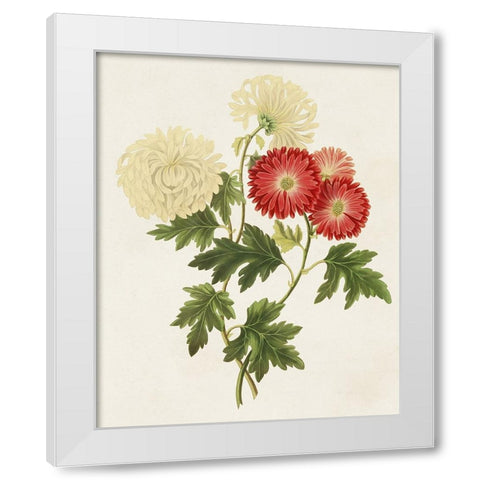Flowers of the Seasons I White Modern Wood Framed Art Print by Unknown