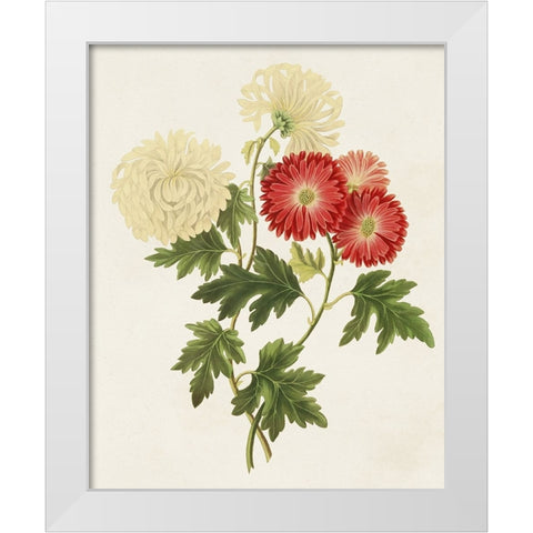 Flowers of the Seasons I White Modern Wood Framed Art Print by Unknown