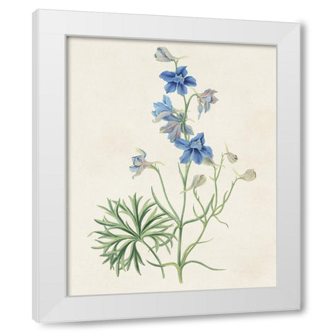 Flowers of the Seasons II White Modern Wood Framed Art Print by Unknown
