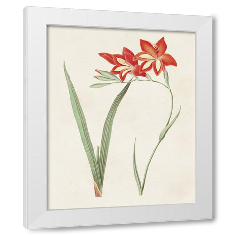 Flowers of the Seasons IV White Modern Wood Framed Art Print by Unknown