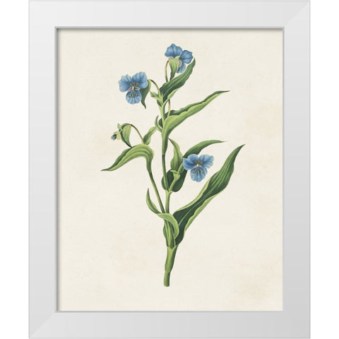 Flowers of the Seasons V White Modern Wood Framed Art Print by Unknown