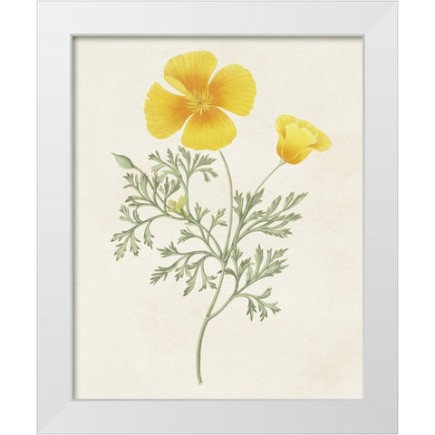 Flowers of the Seasons IX White Modern Wood Framed Art Print by Unknown