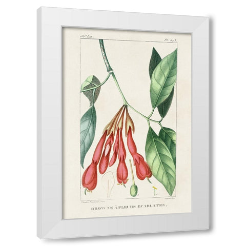 Turpin Tropical Botanicals I White Modern Wood Framed Art Print by Turpin