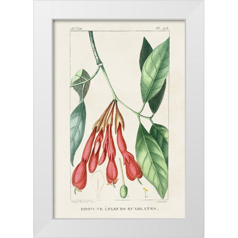 Turpin Tropical Botanicals I White Modern Wood Framed Art Print by Turpin