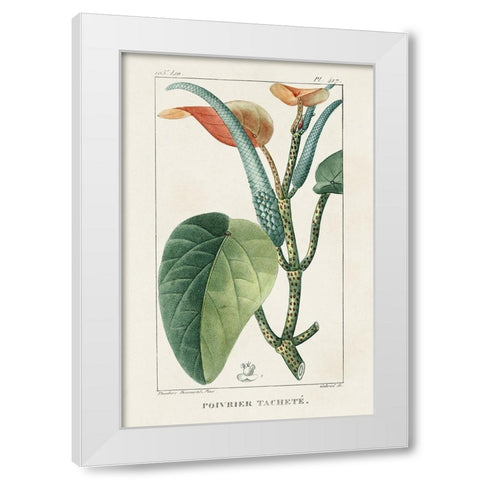 Turpin Tropical Botanicals II White Modern Wood Framed Art Print by Turpin
