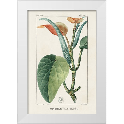 Turpin Tropical Botanicals II White Modern Wood Framed Art Print by Turpin